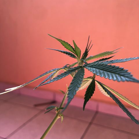 Big sister growlog photo: Garotinha crescendo novamente! Uhu!!