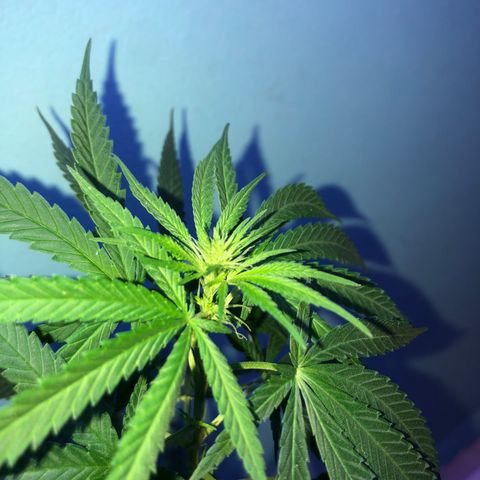 Baby sister growlog photo: Nenem cheia de pistilinhos 🥰🥰
