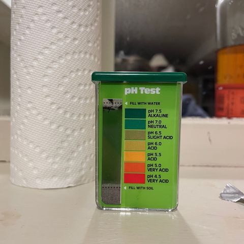 Grapefruit Haze growlog photo: Soil PH