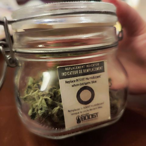 Glueberry OG  growlog photo: Das was vor geerntet wurde, wird an heute fermentiert 