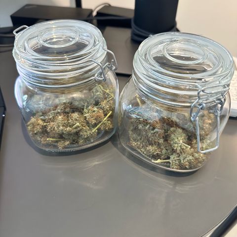 Triple G Automatic growlog timeline photo