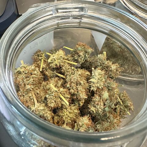 Triple G Automatic growlog timeline photo