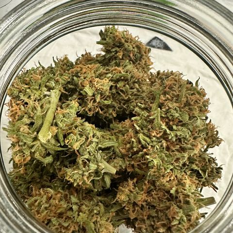 Sherbet Queen Automatic growlog timeline photo