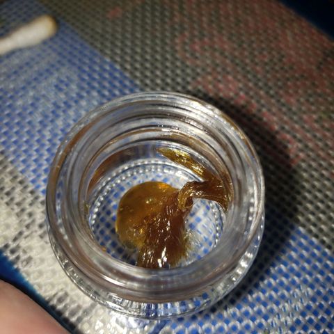 Gelato growlog photo: Lil over 28g dry. Nice and sticky id say perfect moisture content. Smells very sweet dank and gassy. Pungent and very terpy. Smooth smoke flavorful and potent. Couldn't be happier. Rosin return was 25% on 4.5gs. 175 temp brought nice color and flavor. 