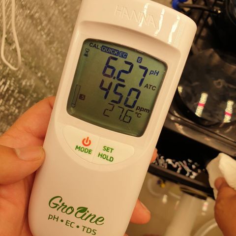 001-Auto-Hydro-Blue Dream-Fastbud growlog photo: ก่อนหลังเติมปุ๋ย