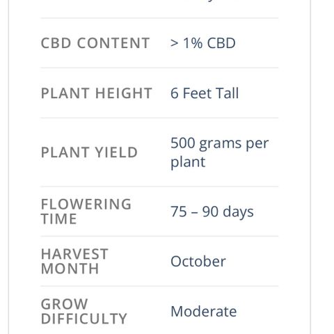 Sour Diesel 1 growlog timeline photo
