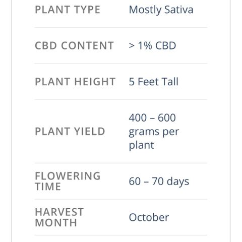 Blue Dream 1 growlog timeline photo