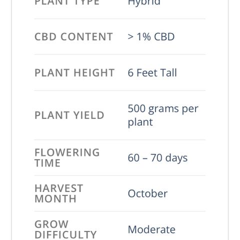 Gorilla Glue 1 growlog timeline photo