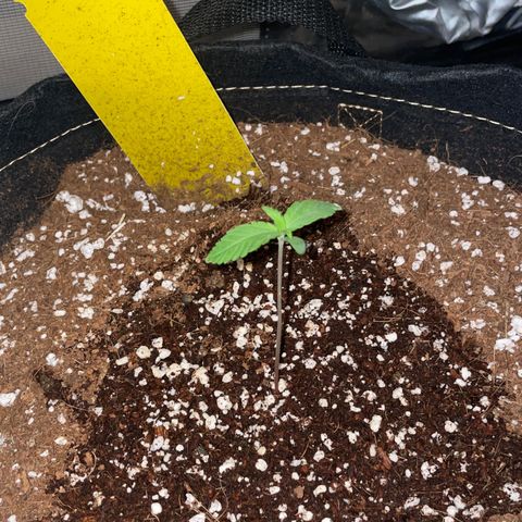 QUICKONE AUTO  growlog timeline photo