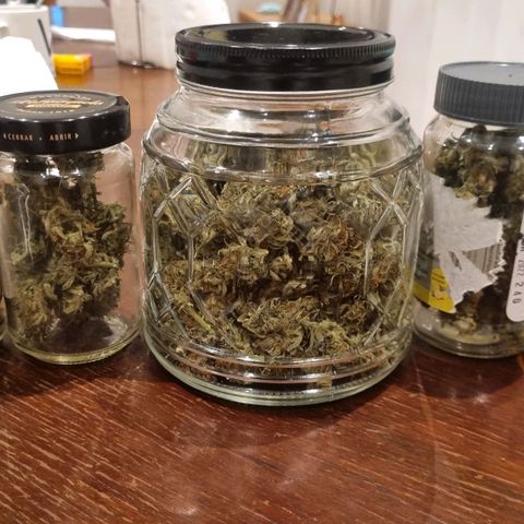 Ultra wonka 2 growlog timeline photo