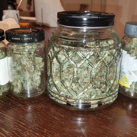 Ultra wonka 2 growlog timeline photo