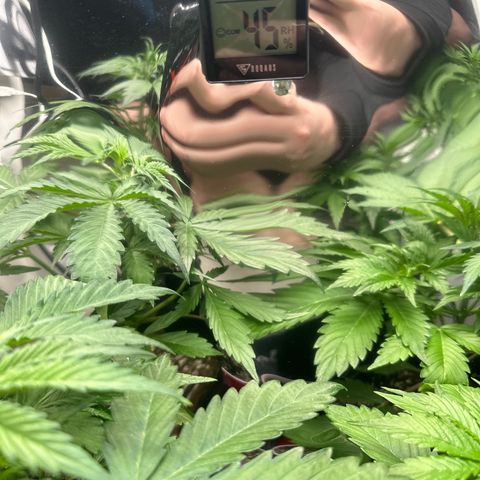 WWDA001 growlog timeline photo