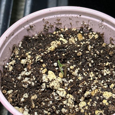 WWDA001 growlog photo: Broke ground! Yee haw!