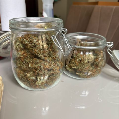 Pren vaso maior  growlog photo: Me rendeu 30G seco 