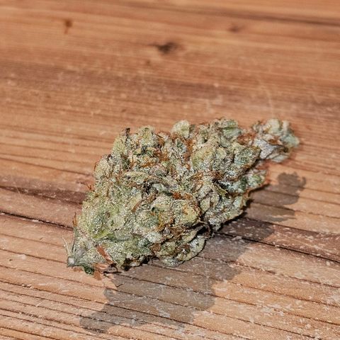 Amnesia  #2 growlog timeline photo
