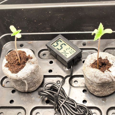 HMMM growlog timeline photo