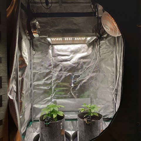 HMMM growlog photo: Right after the flush