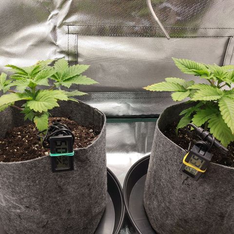HMMM growlog timeline photo
