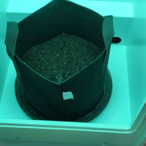 Mary Jane growlog timeline photo