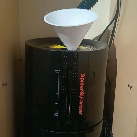 O.G kush growlog timeline photo