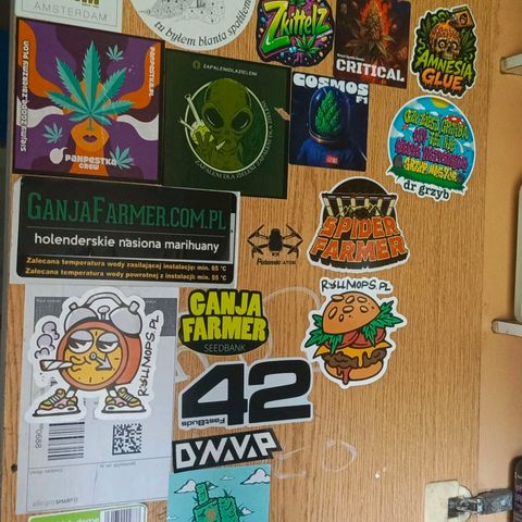 O.G kush growlog timeline photo