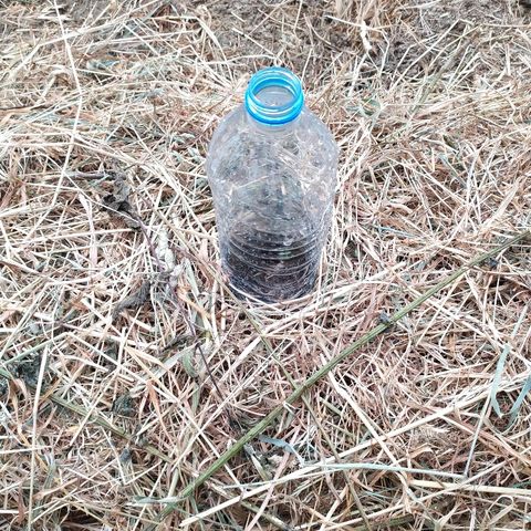 Liquid Mother growlog timeline photo