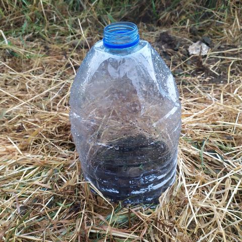 Liquid Mother growlog timeline photo
