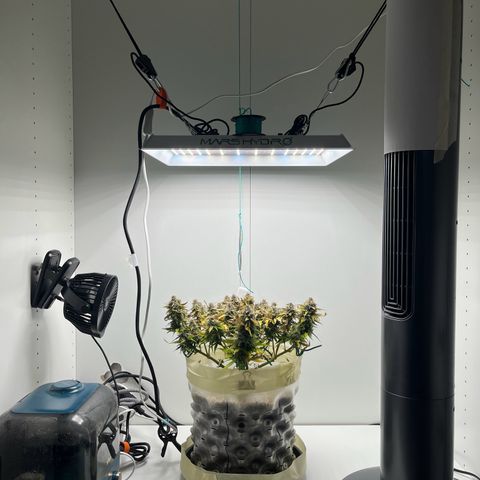 six shooter auto - 12l aero pod - light mix growlog timeline photo