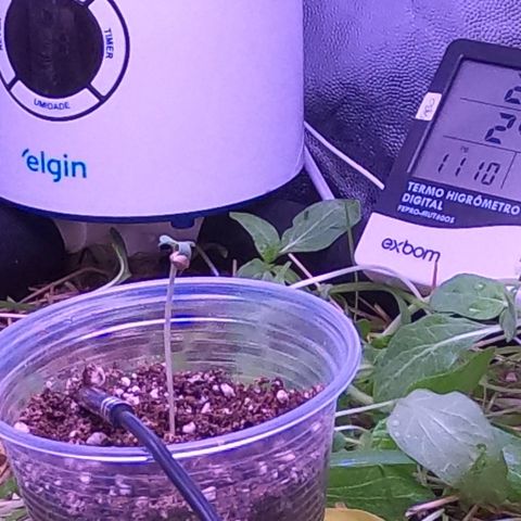 Kosher Cookies growlog timeline photo