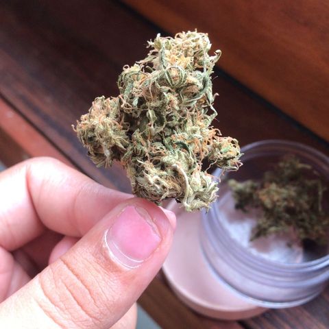 GMO automática growlog photo: Bud sem cura meia trima 🤤🤌
O sabor bem marcante se Diesel, e uma pedrada na cabeça 🥶