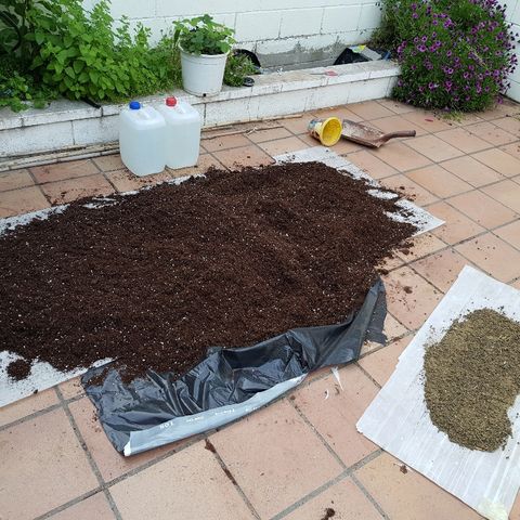 AK47 growlog photo: All mix + coco + humus + perlita + compost conejo