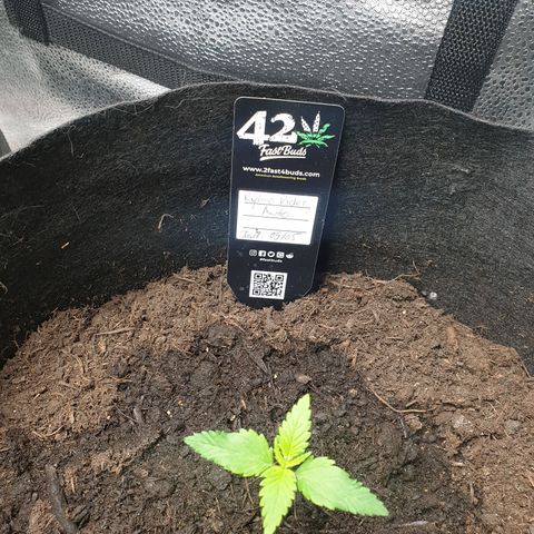 Rhino Ryder growlog timeline photo