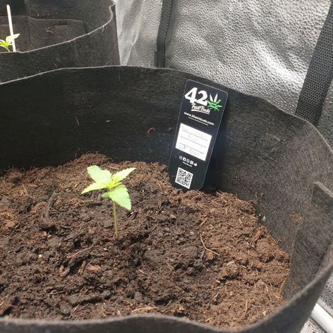 Rhino Ryder growlog timeline photo