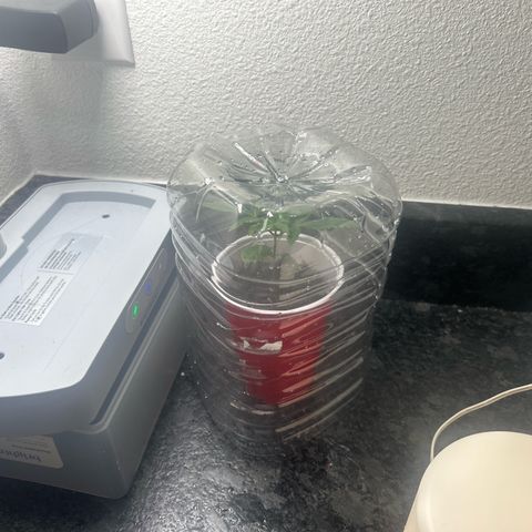 Permanent marker #1.5 growlog photo: New diy humidity done