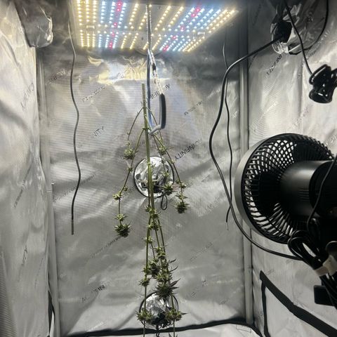 Permanent marker #1.5 growlog timeline photo
