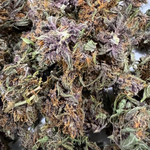 Gorilla Punch Auto growlog timeline photo