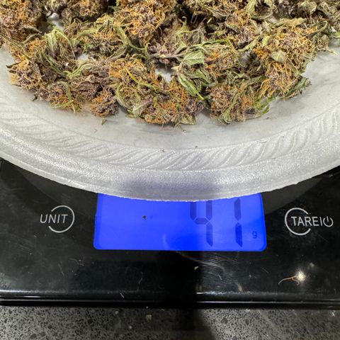 Gorilla Punch Auto growlog timeline photo