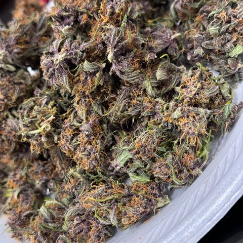Gorilla Punch Auto growlog timeline photo