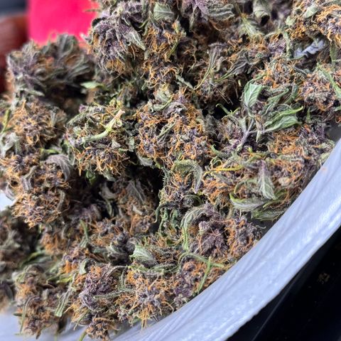 Gorilla Punch Auto growlog timeline photo