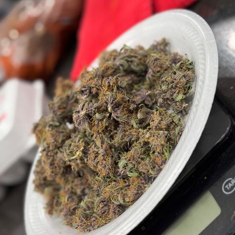 Gorilla Punch Auto growlog timeline photo