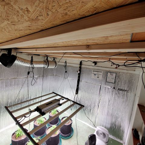 Necktie growlog timeline photo