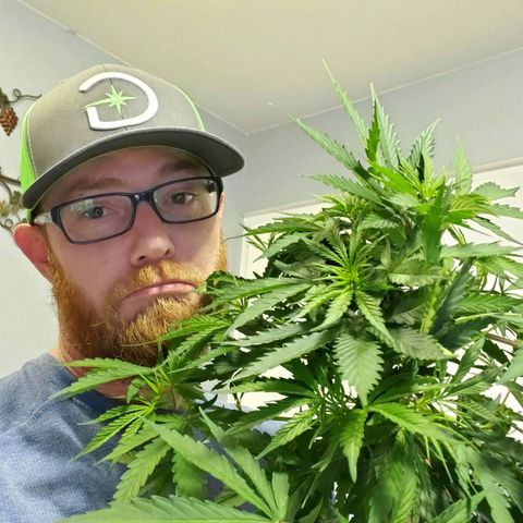 Necktie growlog timeline photo