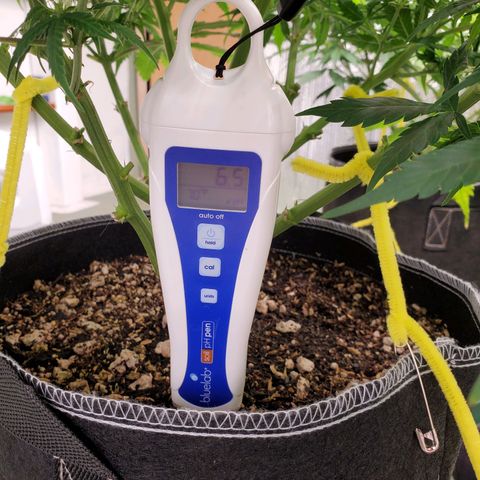 Necktie growlog timeline photo