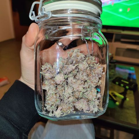 Kleine Queen growlog timeline photo