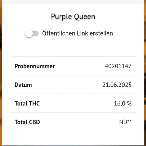 Kleine Queen growlog photo: THC Messung auf der Mary Jane jn Berlin. Etwa 1g wurden gegrindet und vor Ort direkt gemessen. Das gemessene wurde daraufhin in ein Baggy gepackt und wieder mitgenommen. 9,50€ wurde für die Messung gezahlt