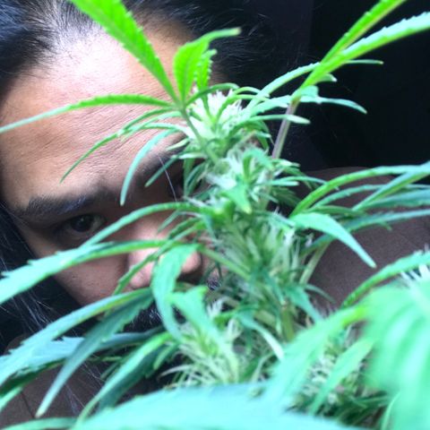 Auto Power Plant growlog timeline photo