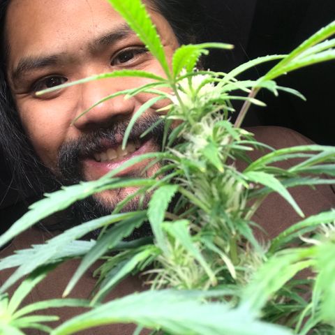 Auto Power Plant growlog timeline photo