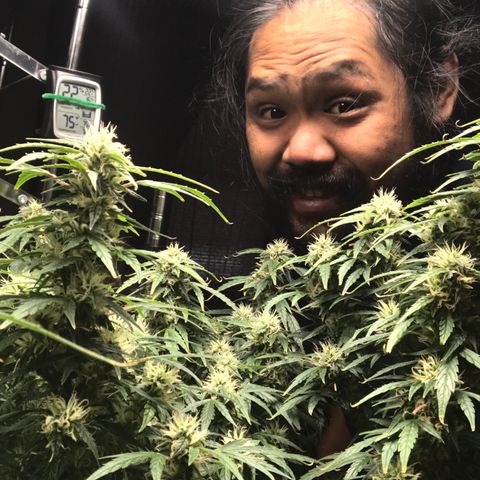 Auto Power Plant growlog timeline photo
