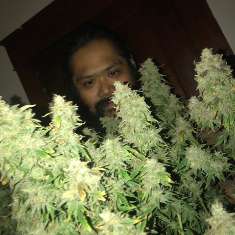 Auto Power Plant growlog timeline photo