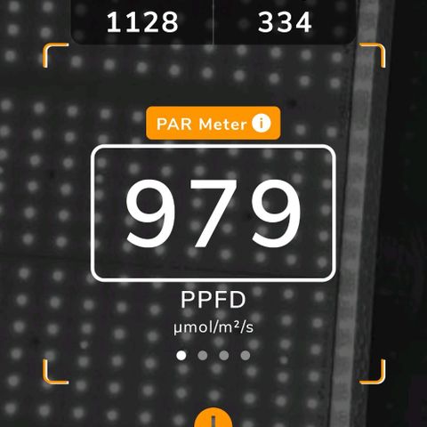 Pineapple Express Auto growlog photo: After light adjustment. Average reading after calibration. Receiving ~900 umol. 